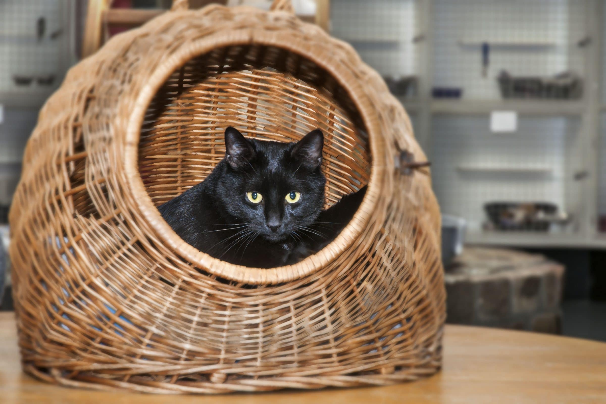 D140320RvE2423 D140320RvE2423