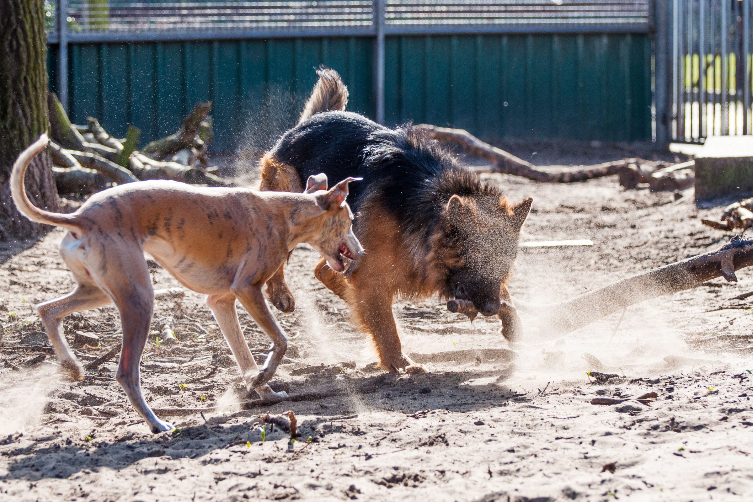 D140320RvE2468 D140320RvE2468