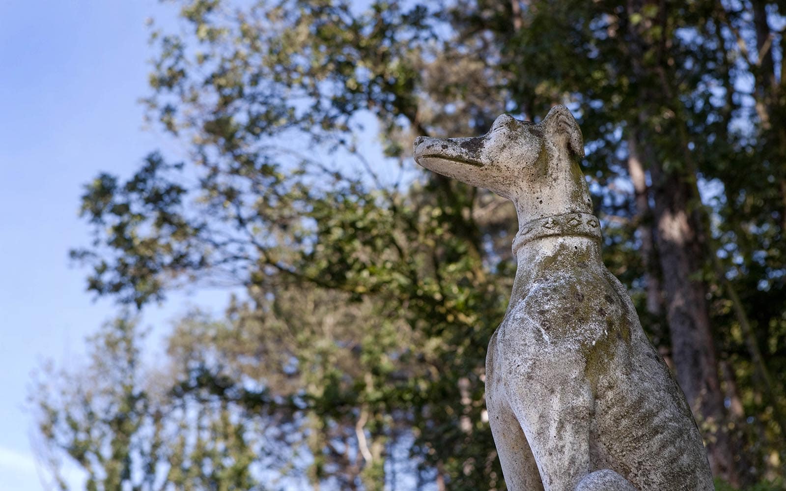 2 juni 2011 Beverwijk, Dierenpension Tussenwijk.