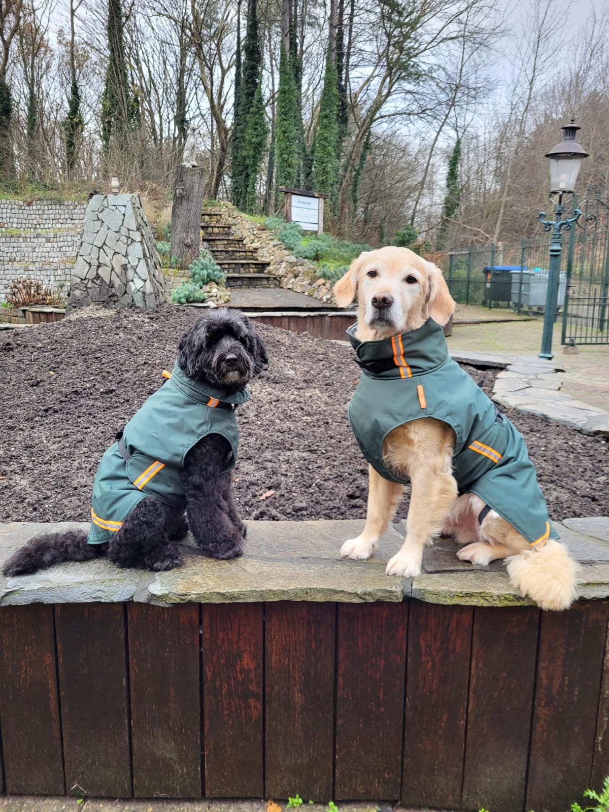 Rainy SuperFurDogs - regen/winterjas voor de hond - Afbeelding 3