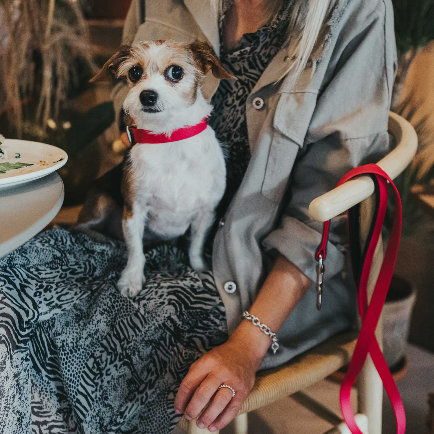 Hunter Halsband Convenience Raspberry - Afbeelding 4