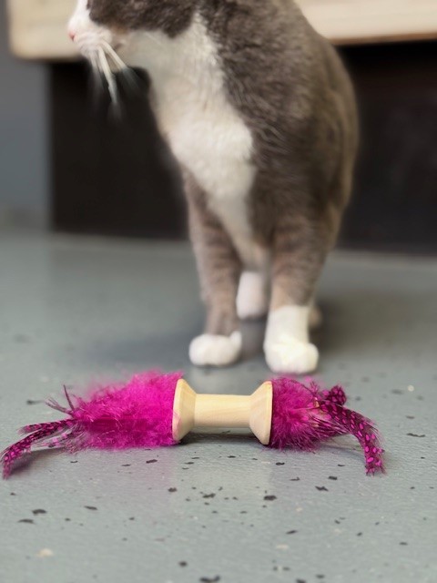 Hunter Dumble Kattenspeelgoed Met Veren - Afbeelding 3